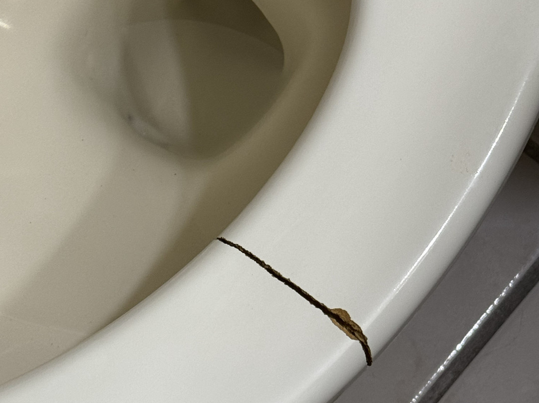 科布尔斯通酒店-法里巴尔特博德斯套房酒店主图