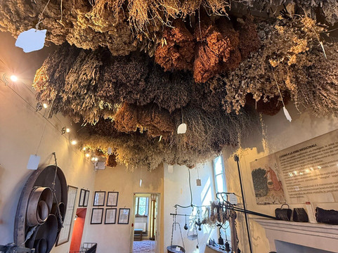 Aboca Museum-圣塞波尔克罗必去景点