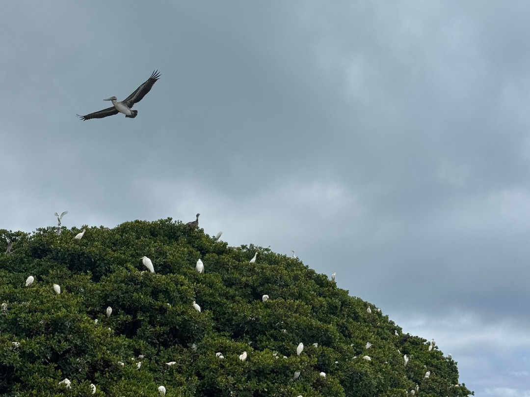 Pell'i Canot-Petit-Bourg必去景点