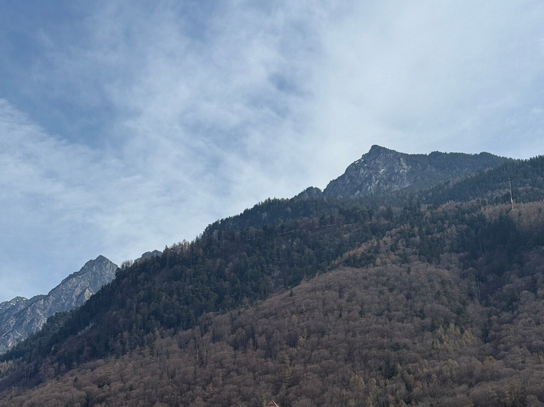 Vaduz Castle-瓦杜兹必去景点