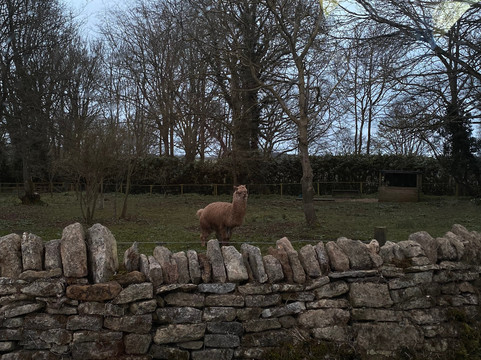 Undiscovered Cotswolds-牛津必去景点