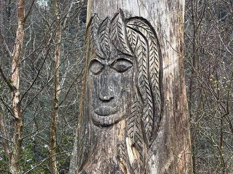 Beacon Fell Country Park-Goosnargh必去景点