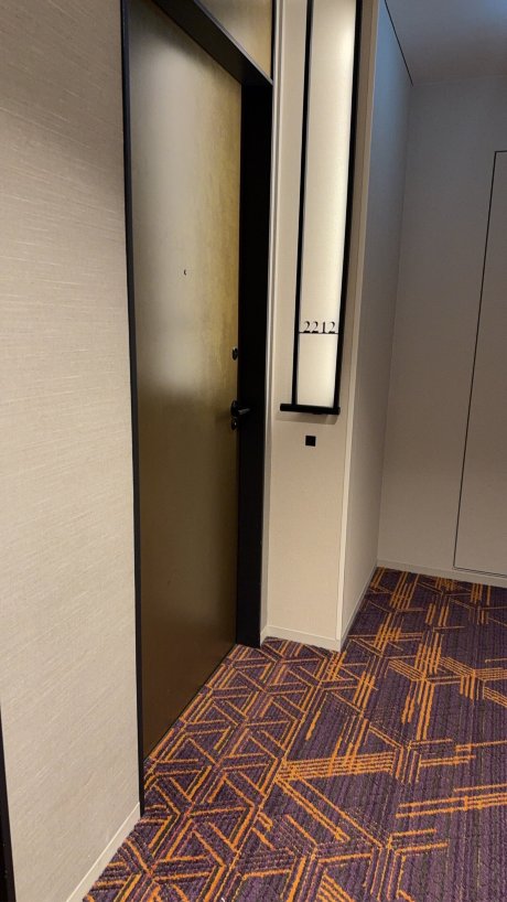 大阪盛泰澜酒店-客卧