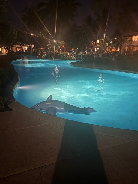 丹娜拉岛喜来登别墅酒店-官方