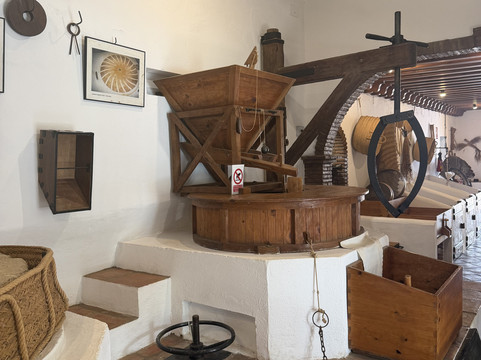 Jardin Botanico Molino de Inca-托雷莫里诺斯必去景点