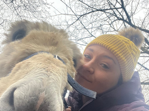 Charnwood Forest Alpacas-Boundary必去景点
