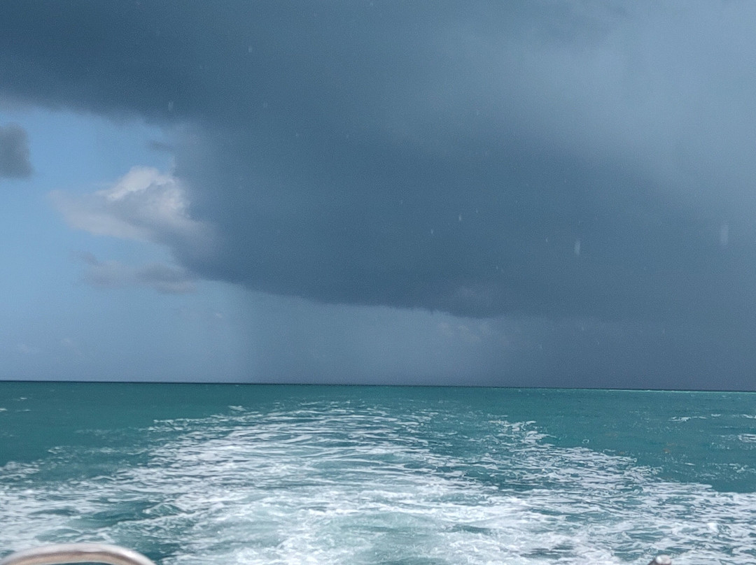 Captain Marvin's Watersports Ltd.-普罗维登西亚莱斯必去景点