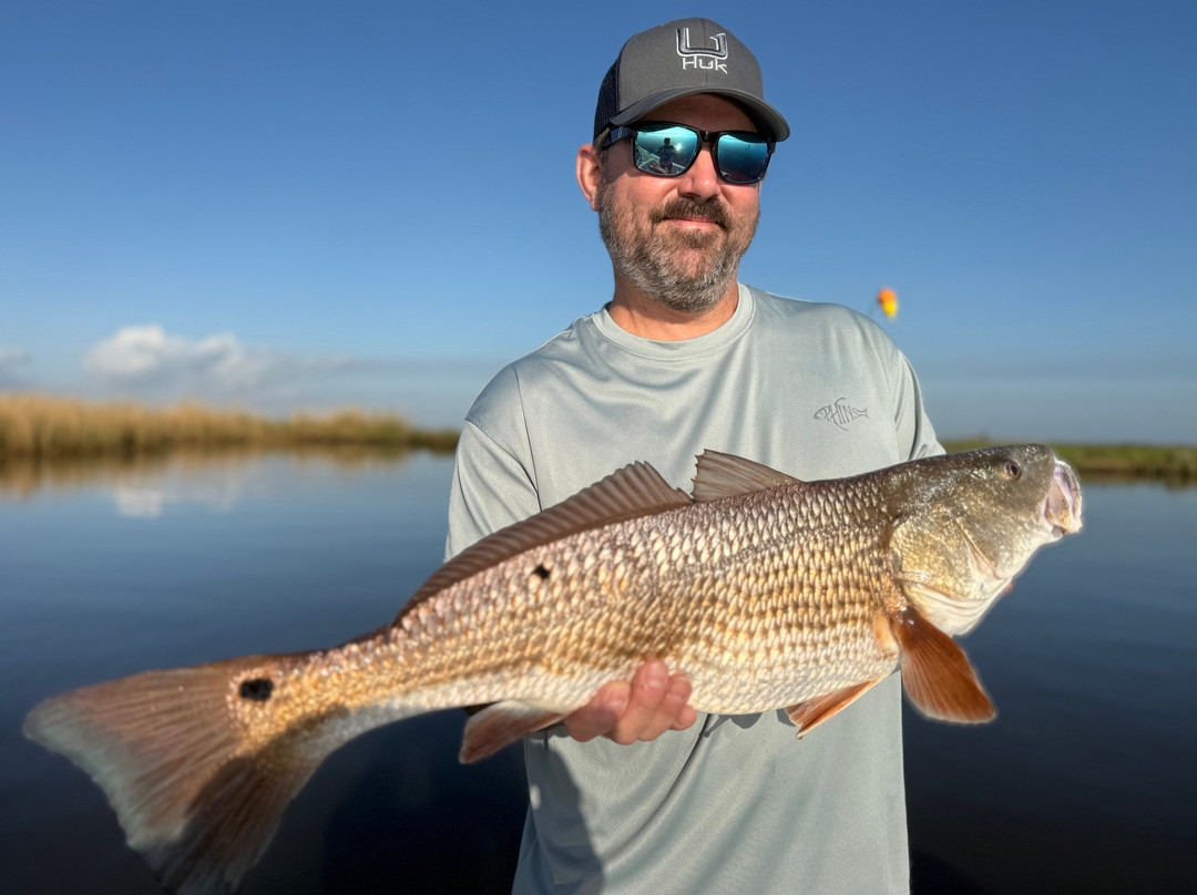 Bayou Charters-Saint Bernard必去景点