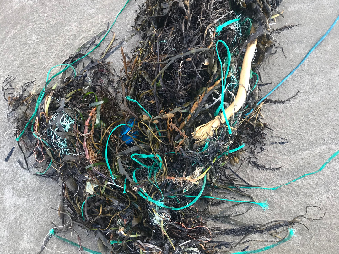 Plage de Pentrez-Pentrez必去景点