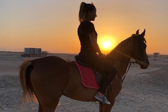 Horse hurghada-赫尔格达必去景点