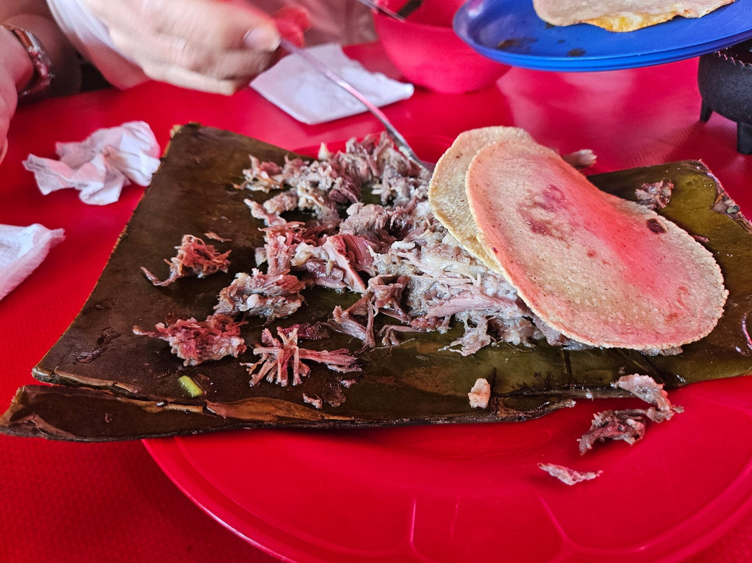 Huellas Mexicanas. Viajes y Experiencias Gastronomicas-墨西哥城必去景点