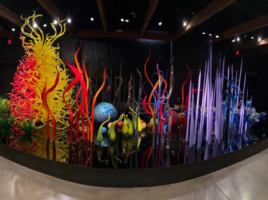 Chihuly Collection-圣彼德斯堡必去景点
