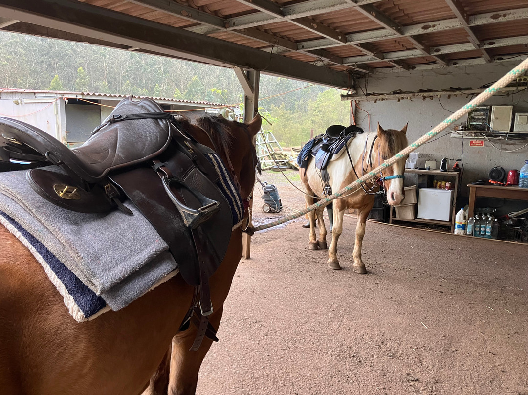 Equine Village by Quinta do Riacho-Santo da Serra必去景点