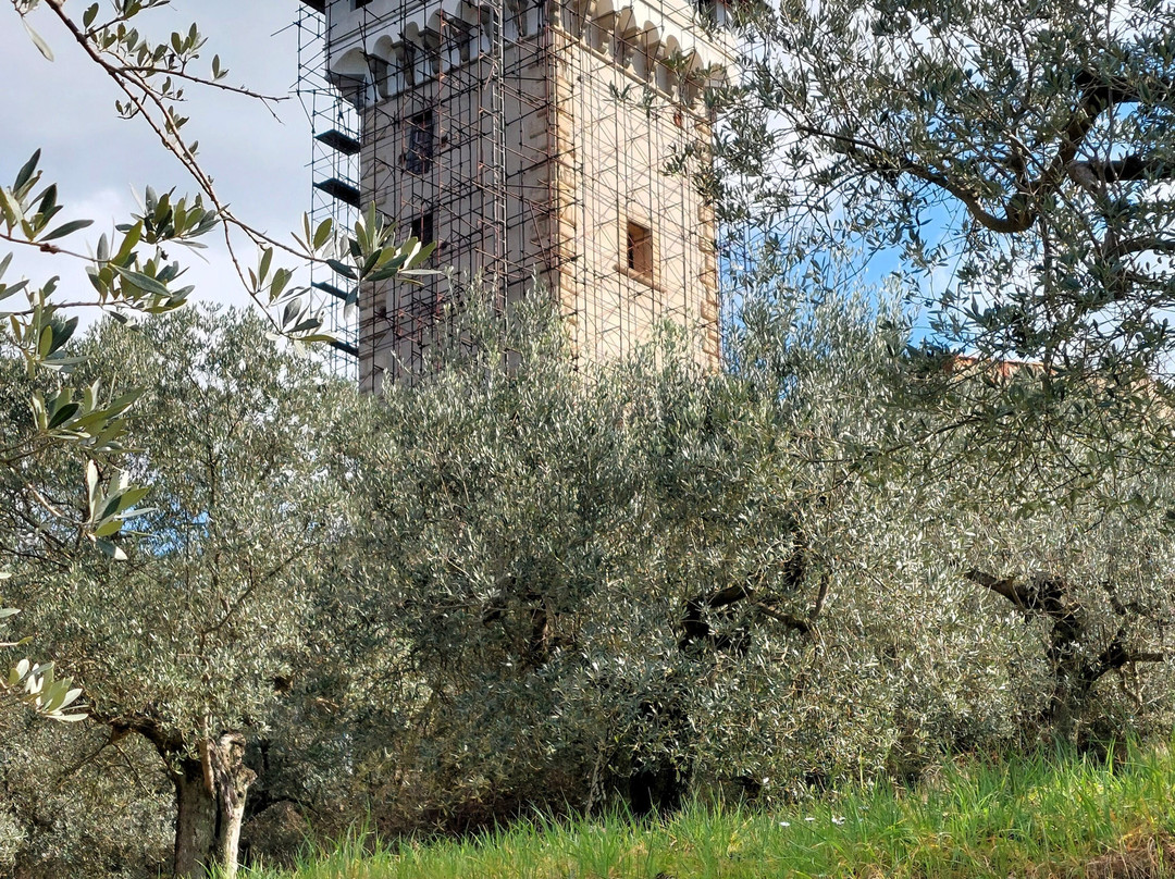 Torre di Baroncoli-卡伦扎诺必去景点