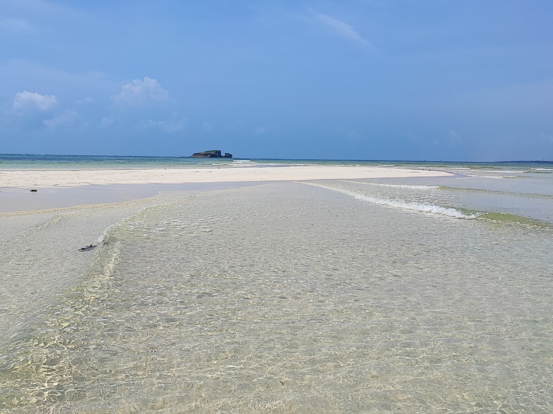 Giornale Kenya Safari - Day Tours-瓦塔木必去景点