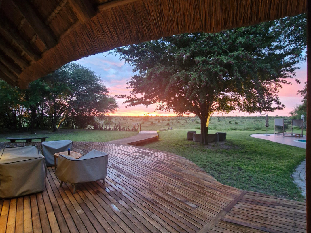 Rhino Africa Safaris-开普敦中心区必去景点