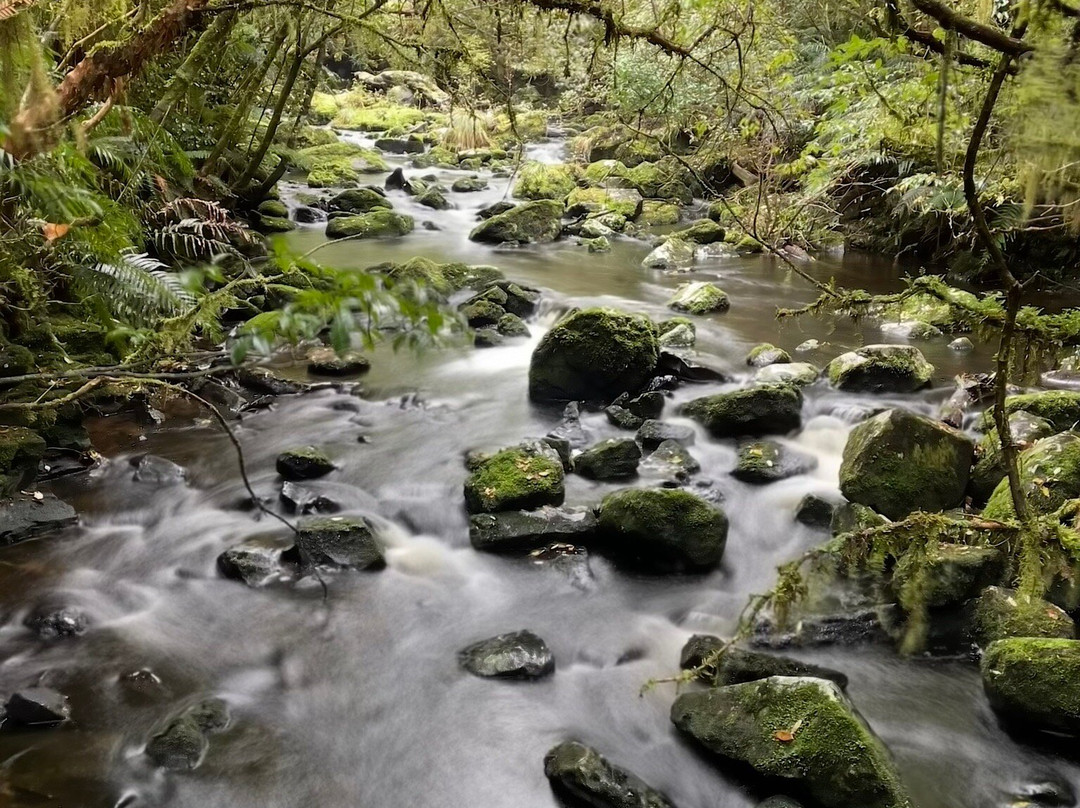 McLean Falls-Papatowai必去景点