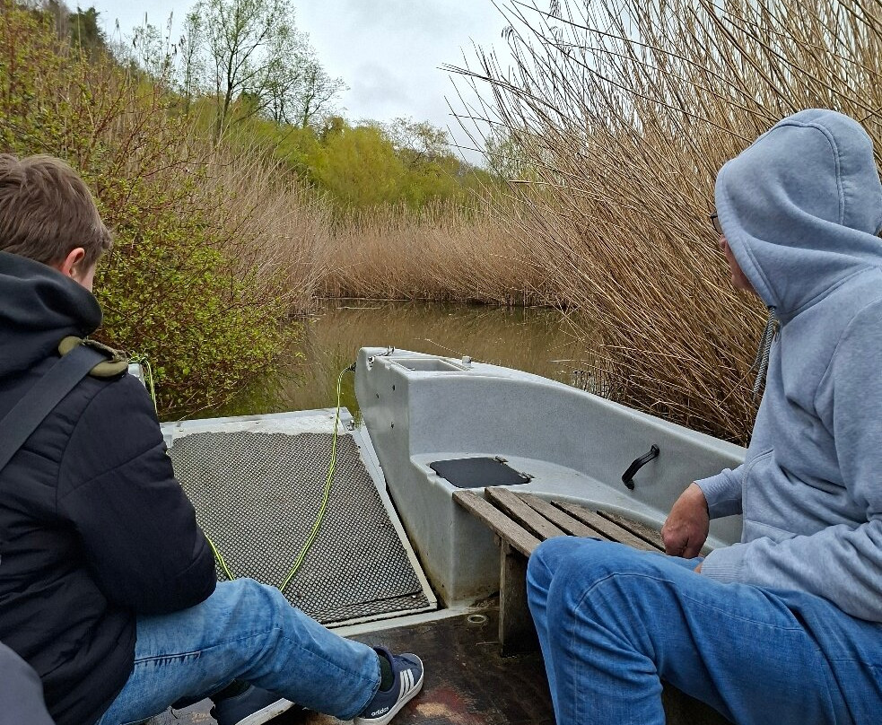 WWT Arundel Wetland Centre-阿伦德尔必去景点