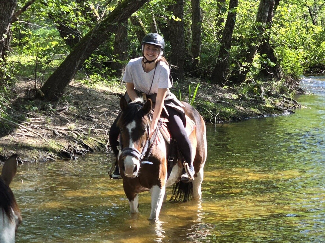 Centro Equestre La Prugnola-Arzachena必去景点