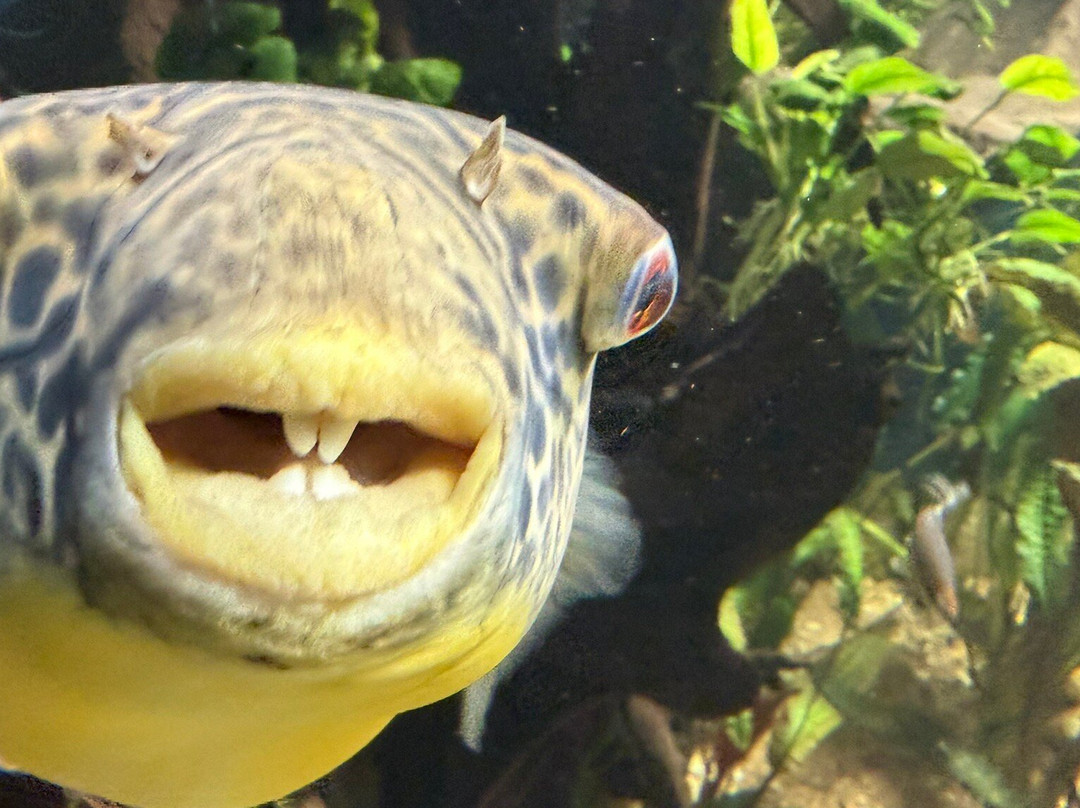 Zoo Basel-巴塞尔必去景点