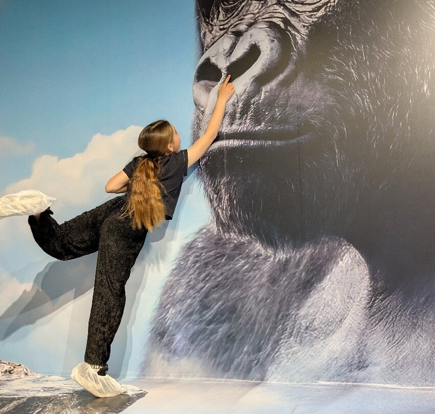 MiM - Muzeul Imaginației Maramureș-Sighetu Marmatiei必去景点