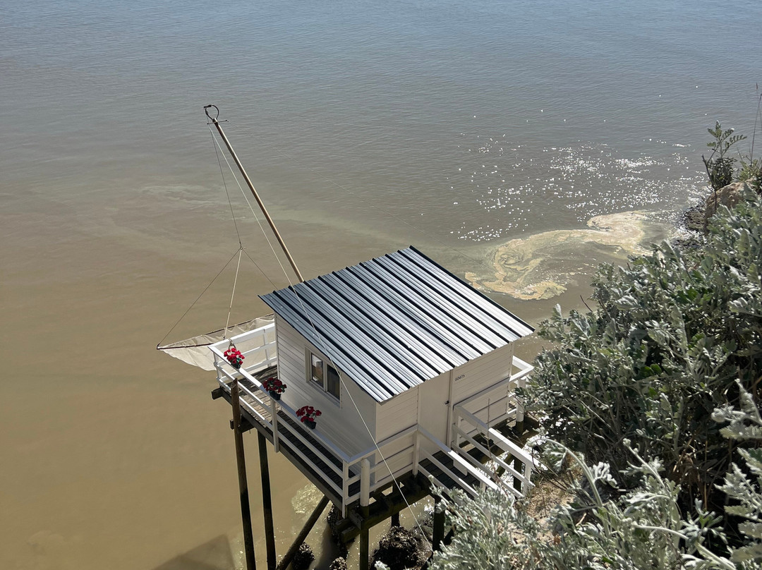 Grottes du Régulus-Meschers-sur-Gironde必去景点