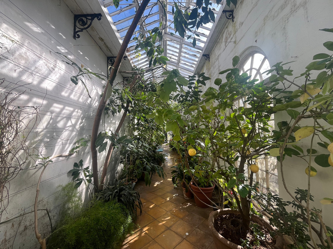 Mapperton House, Gardens & Wildlands-Mapperton必去景点