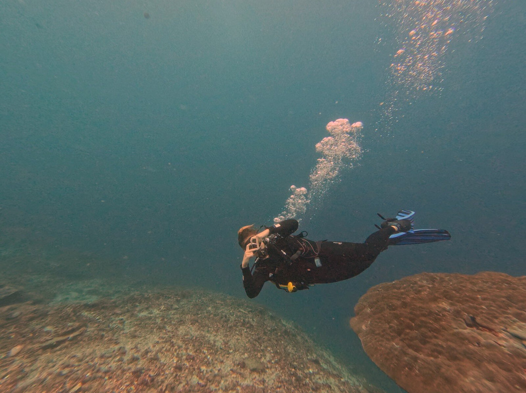 DPM Diving Nusa Penida-珀尼达岛必去景点