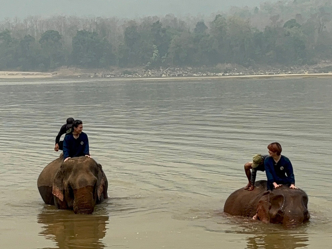 Manifa Elephant Camp-Sang Ha必去景点