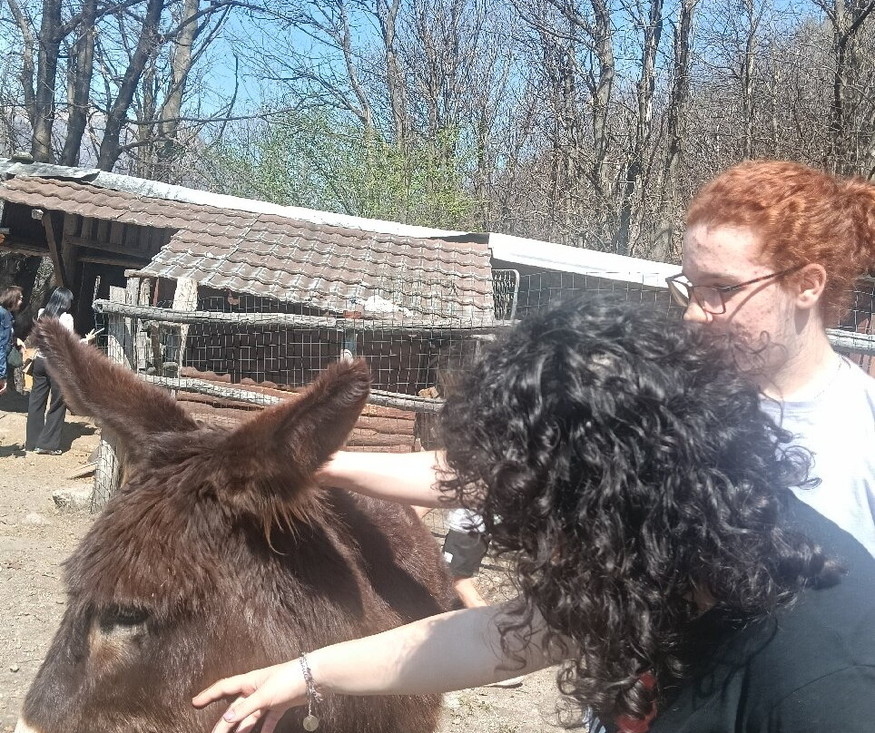 Alpe Mastrolini-Omegna必去景点