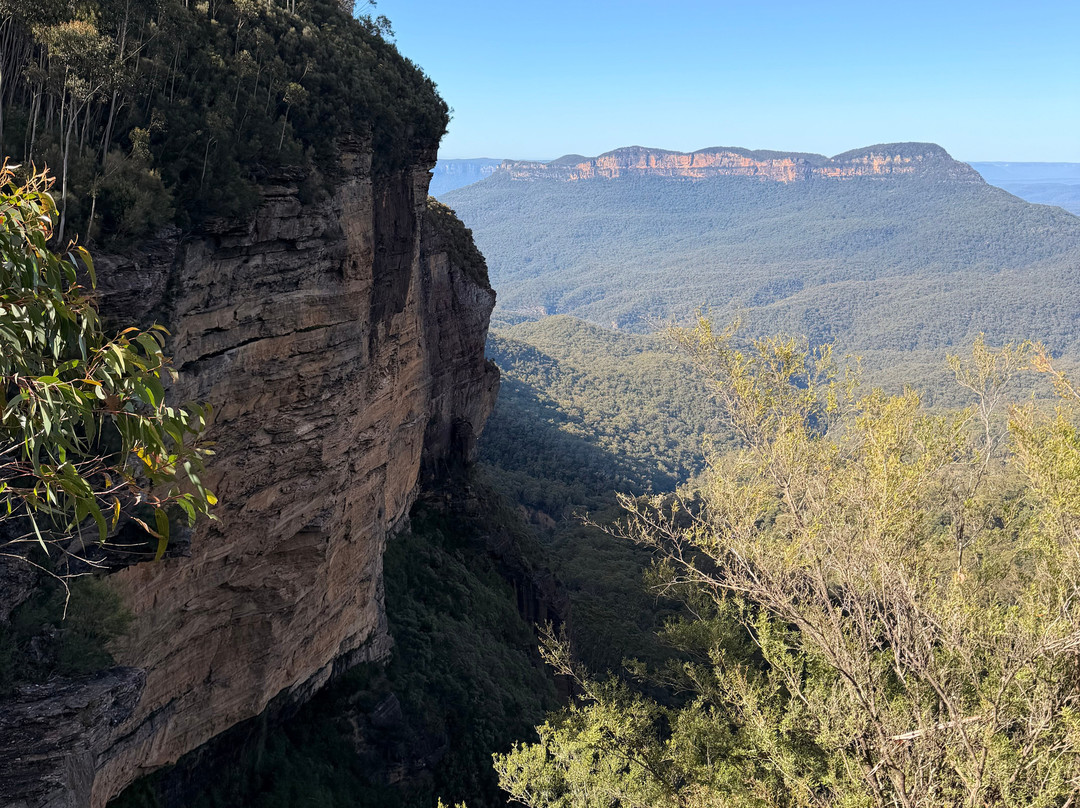 Blue Mountains Tours-格兰布鲁克必去景点