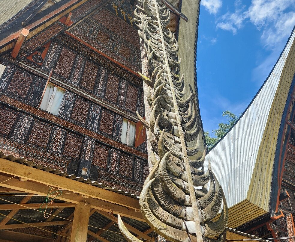 Toraja local guide-Tana Toraja必去景点