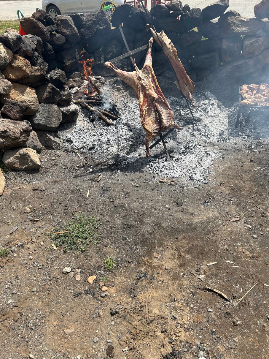 Hosteria Hualcupen Copahue-官方