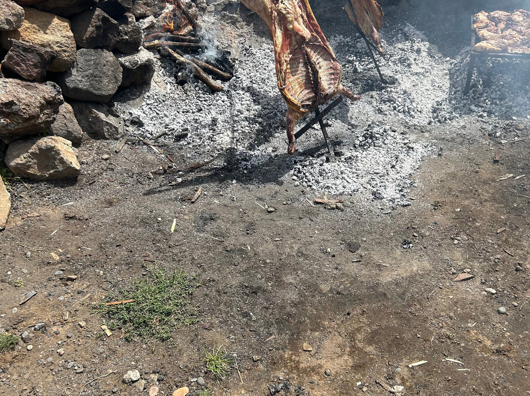 Hosteria Hualcupen Copahue主图