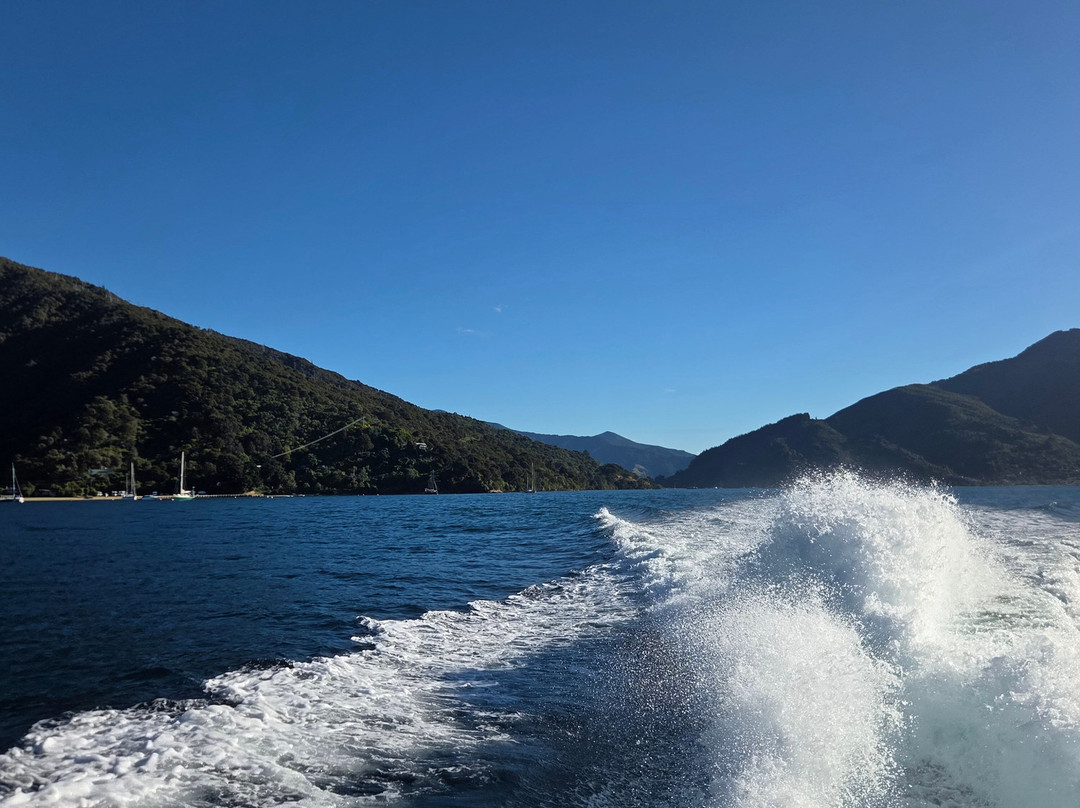 Marlborough Sounds Adventure Company - Day Tours-皮克顿必去景点