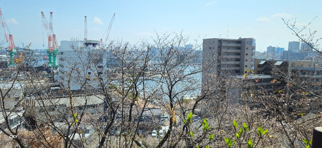 Nishi Park-Chuo必去景点