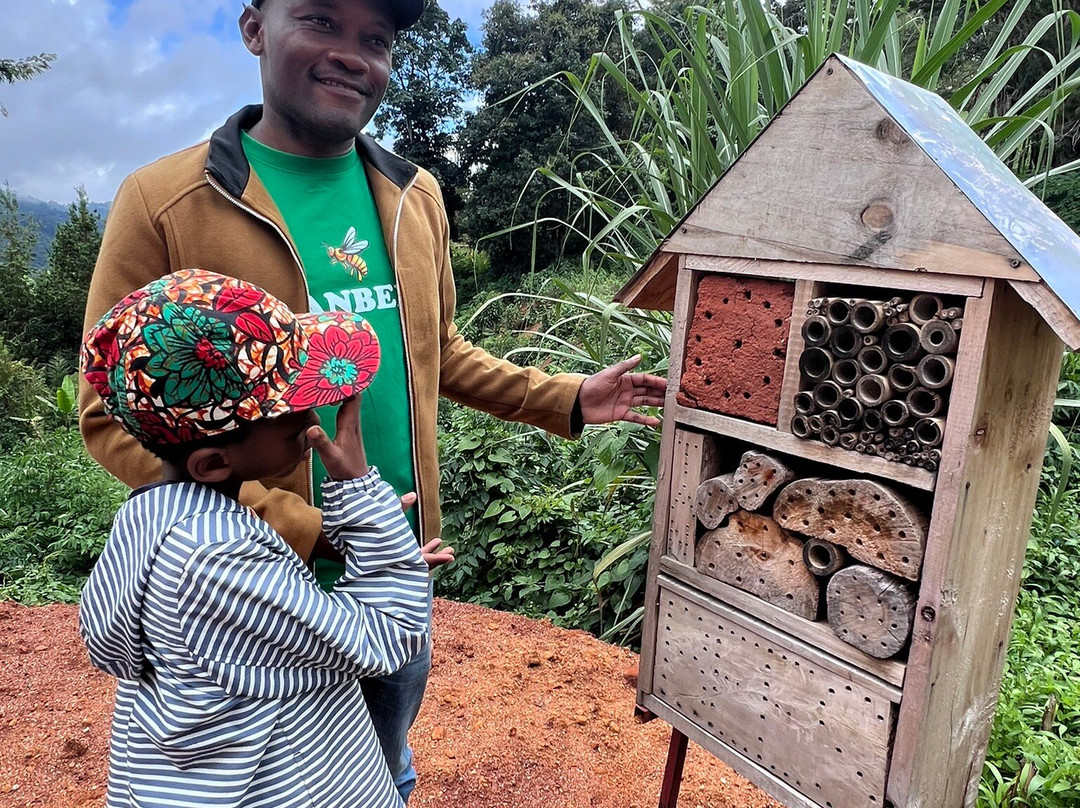 Lushoto Apiculture Museum-卢绍托必去景点
