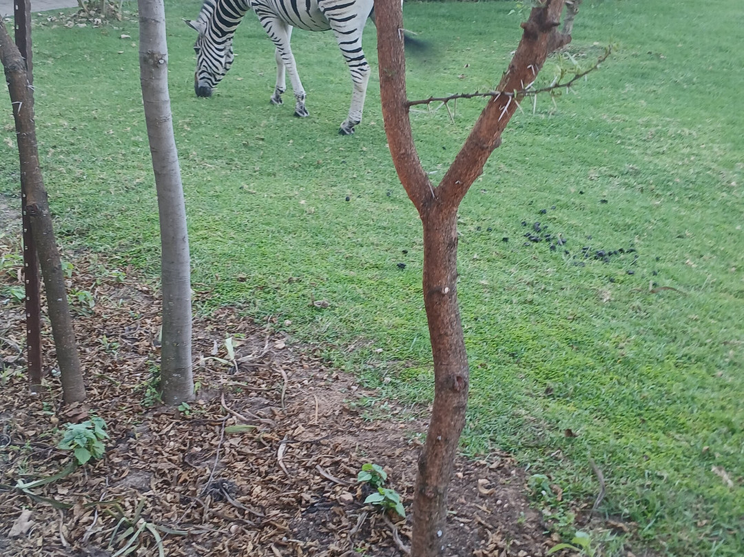 Cradle Moon-Muldersdrift必去景点