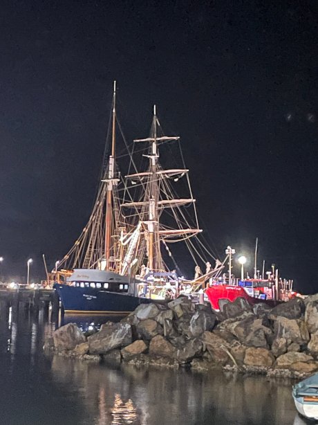 Snug Cove Bed and Breakfast-旅行者