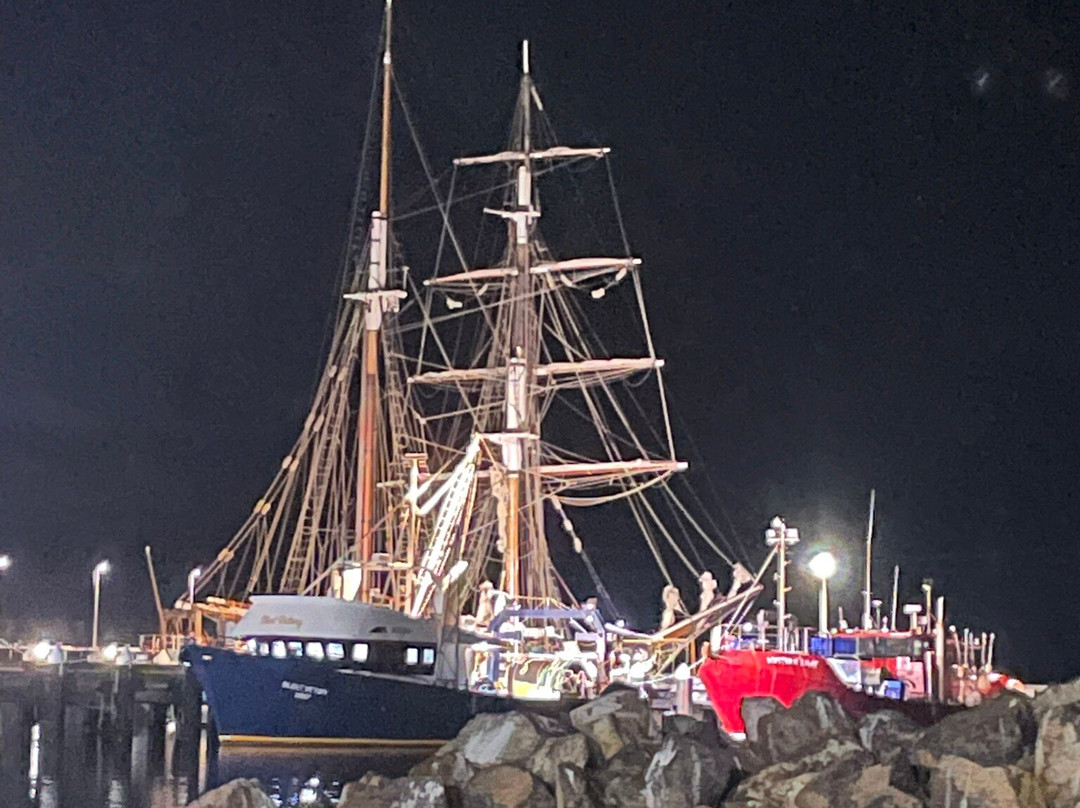 Snug Cove Bed and Breakfast主图