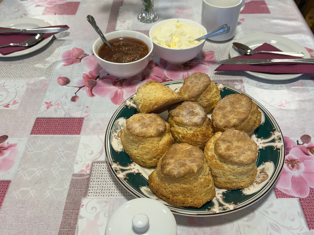 Explore With Spike-底特律必去景点