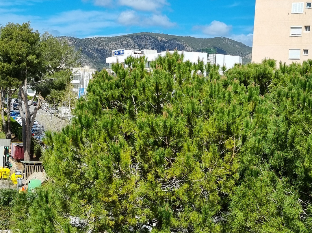 罗萨德尔玛水疗酒店主图