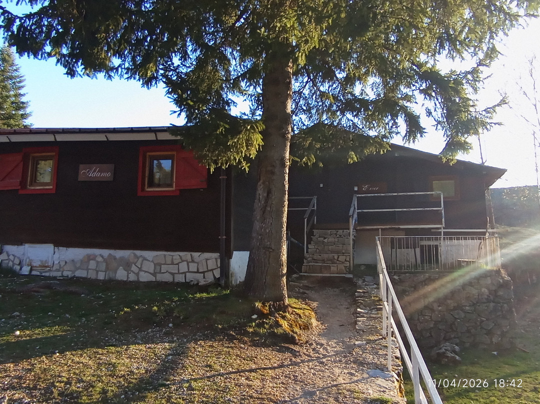 Camping Luisiana