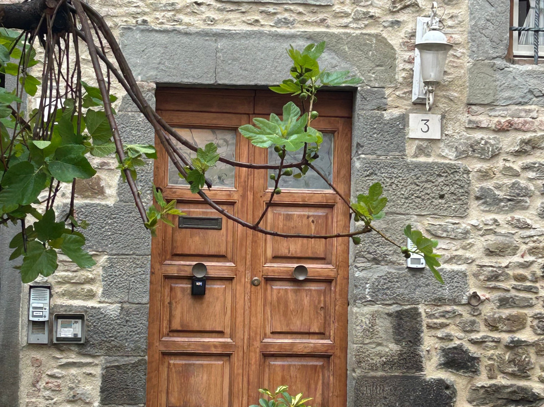 Hill Town Tours-科尔托纳必去景点