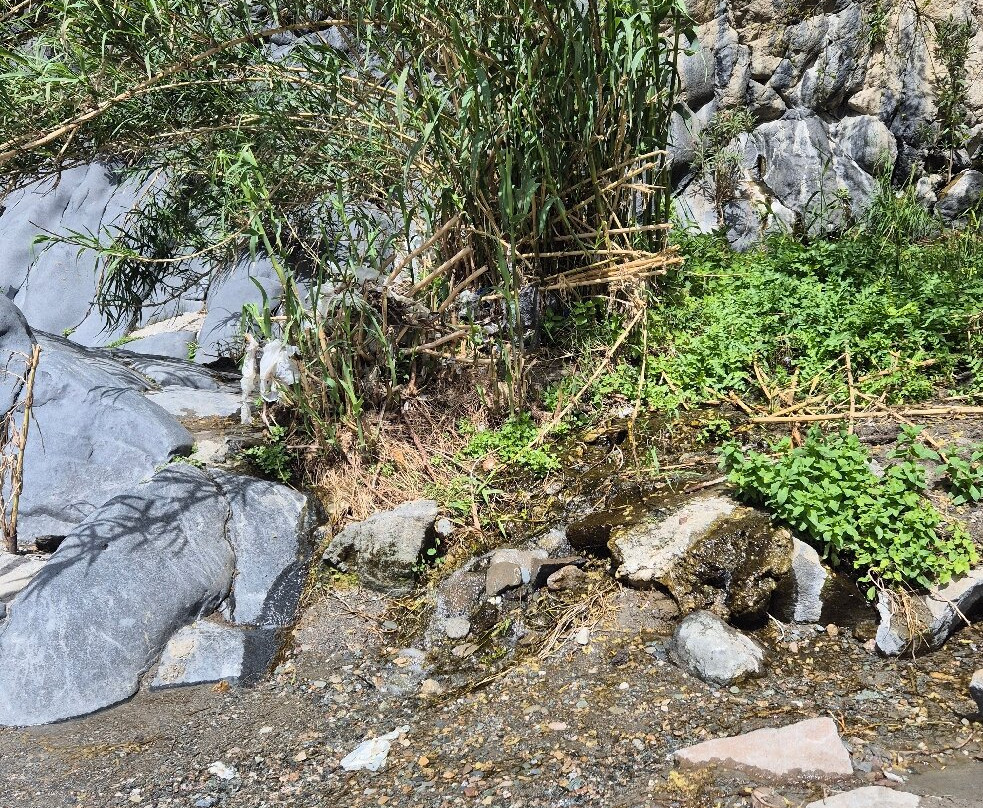 Gola Dell'Alcantara-Motta Camastra必去景点