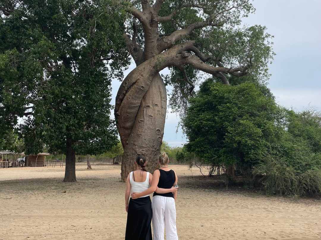 Madagascar Magic Tours-安齐拉贝必去景点