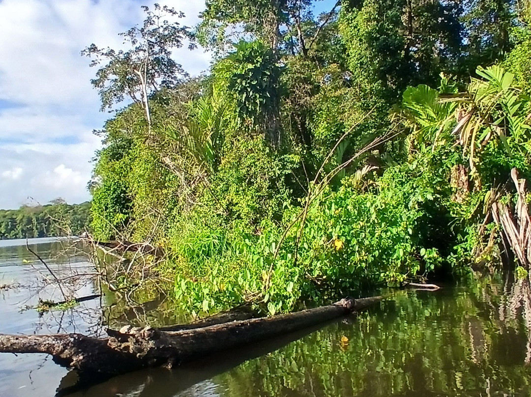 Tortuguero Tours-托图杰多必去景点