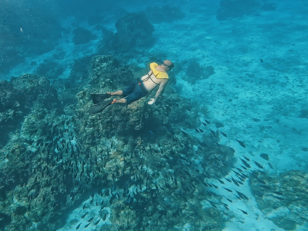 Dressel Divers Playa Del Carmen-普拉亚德尔卡曼必去景点