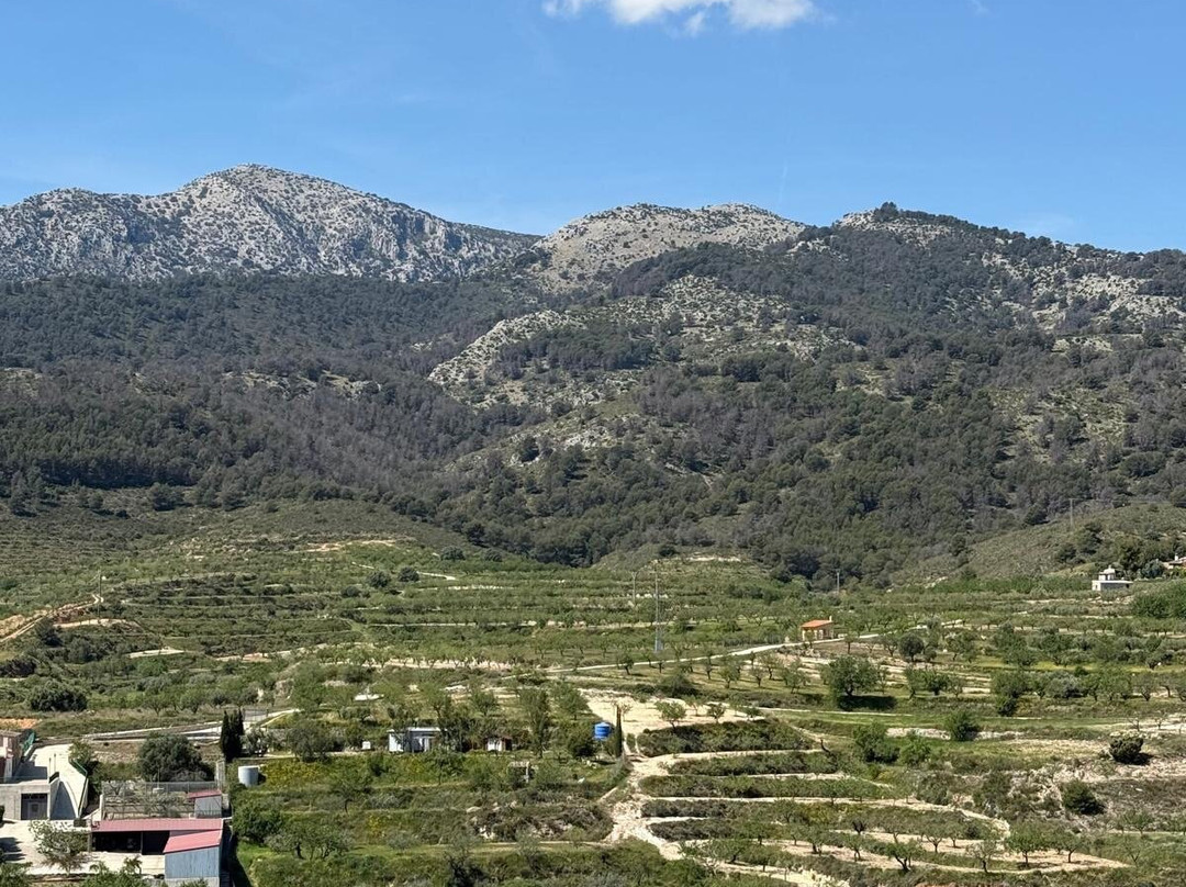 Espuna Adventure-Alhama de Murcia必去景点