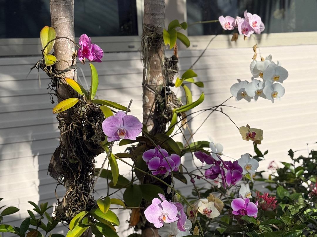 今日奥涅克蓬塔卡纳全包式住宿主图